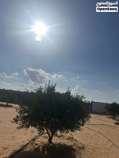قطعة ارض للبيع 2