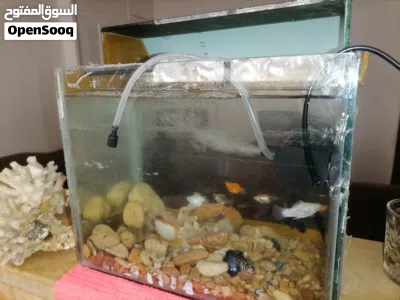 undefined 3
