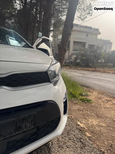 Kia Picanto Standard 3