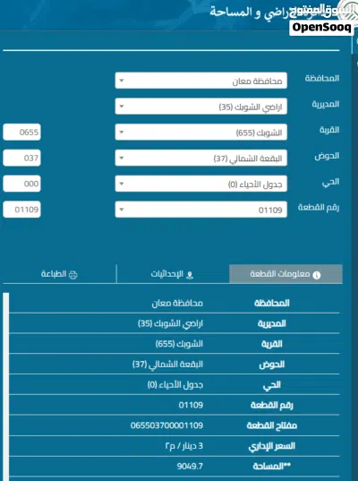 قطعة أرض للبيع في الشوبك – بجانب التنظيم – 9 دونم فرصة ذهبية للاستثمار أو البناء! 2