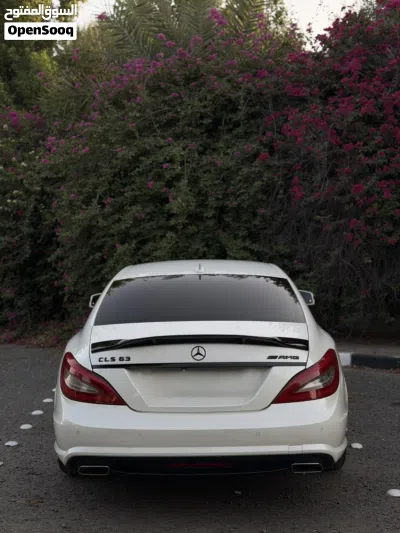 Mercedes Benz CLS-Class CLS 350 4