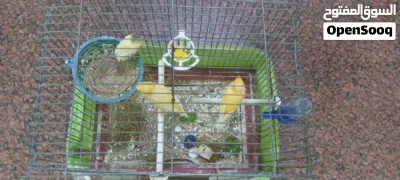 undefined 2