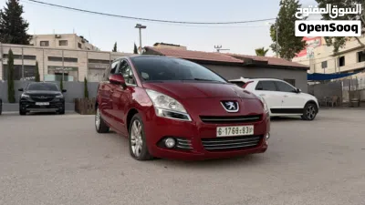 Peugeot 5008 Standard 2