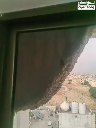 طرد نحل.... 2