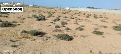 أرض للبيع خلف مصنع نسيم 3