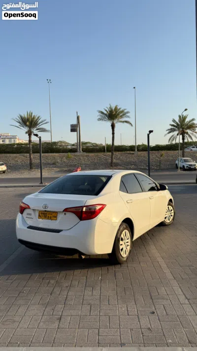 Toyota Corolla LE 3