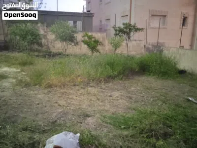 تنظيف وتعشيب حدائق 4