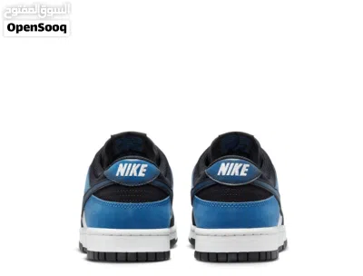 Nike dunk low 2
