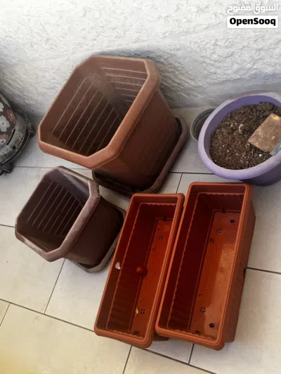 قوارير زريعة 2