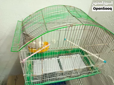 undefined 3