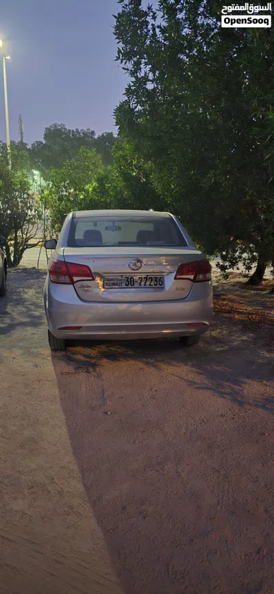 BAIC Other 2