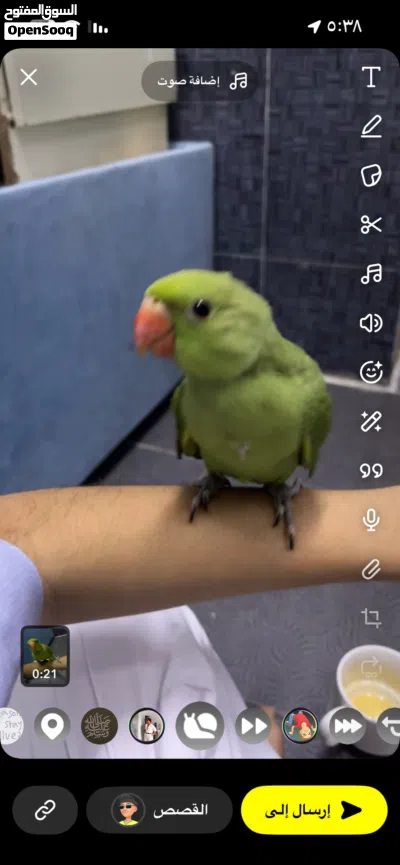 مفقود دره عمرها شهرين 3