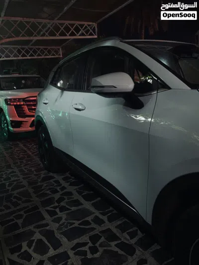 کیا Sportage Standard 4
