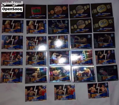بطاقات WWE الإحترافية 2014 2