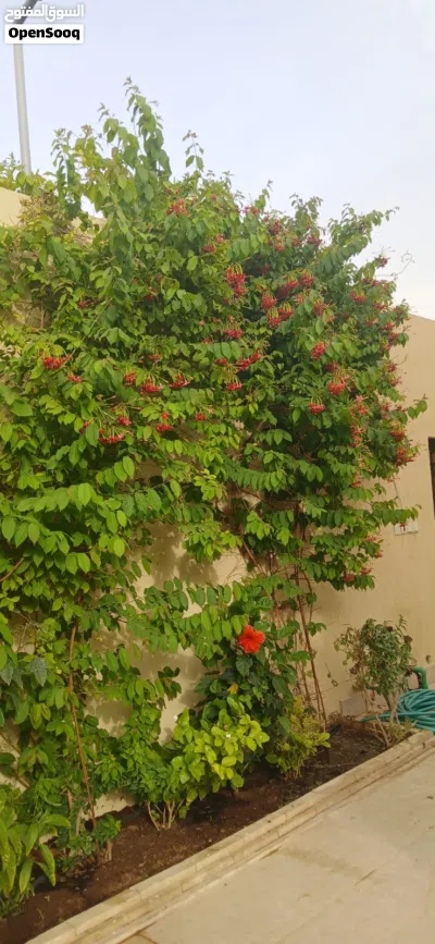 undefined 2