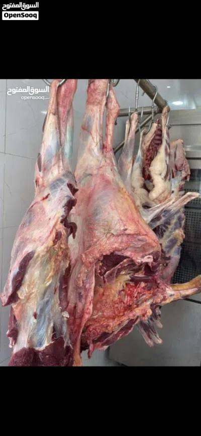 اعلااان بيع ملحمه بكامل مستلزماتها وادواتها مع السجل التجاري //Butcher shop for sale 2