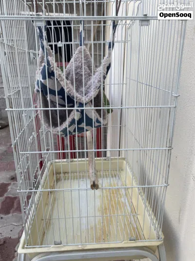 undefined 3