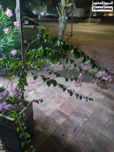 undefined 3