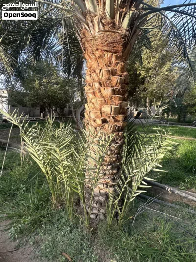 undefined 2