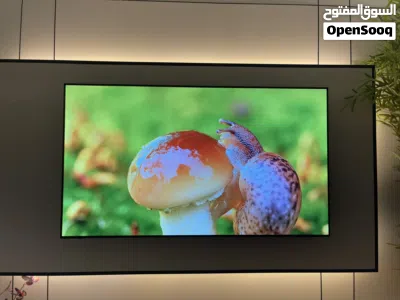 عش تجربة سينمائية مع هايسنس OLED 3