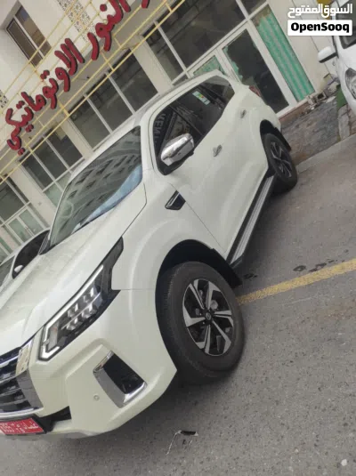 Nissan X-Terra Platinum 3
