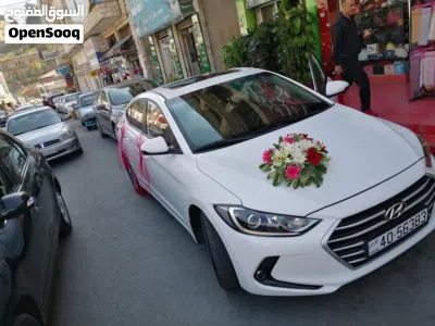 Hyundai Avante Limited 2
