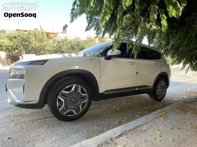 Hyundai Santa Fe Limited 2