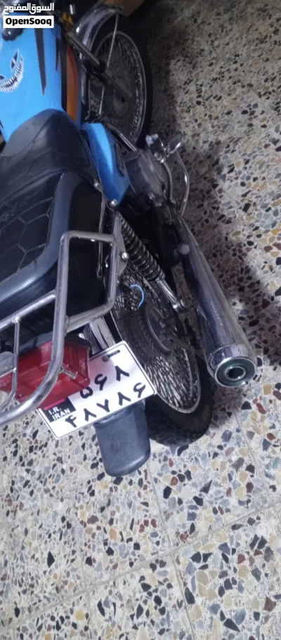 تايجر أخرى 3