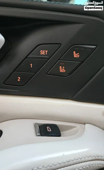 بي ام دبليو الفئة X5 Standard 3