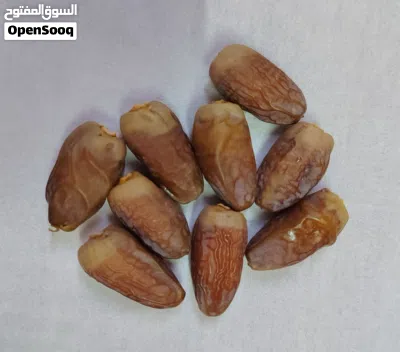 سح نغال الطائين 2026 4