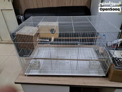 undefined 4