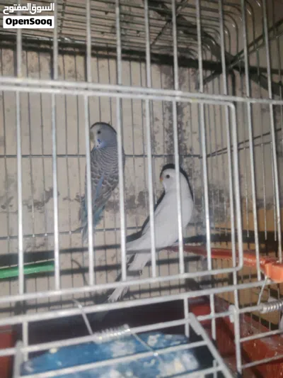 undefined 2