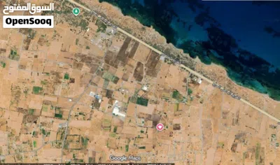 3200 متر للبيع غوط الرمان 2