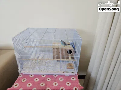 undefined 2
