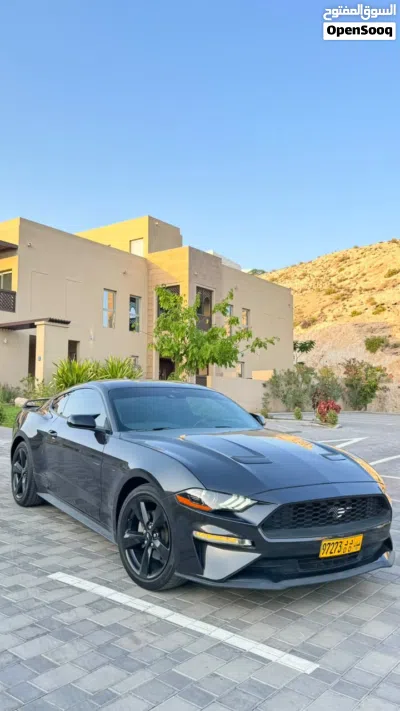 Ford Mustang Standard 2