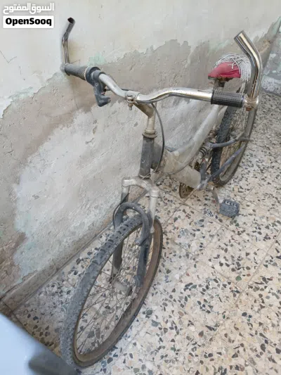 باسكليت للبيع 4