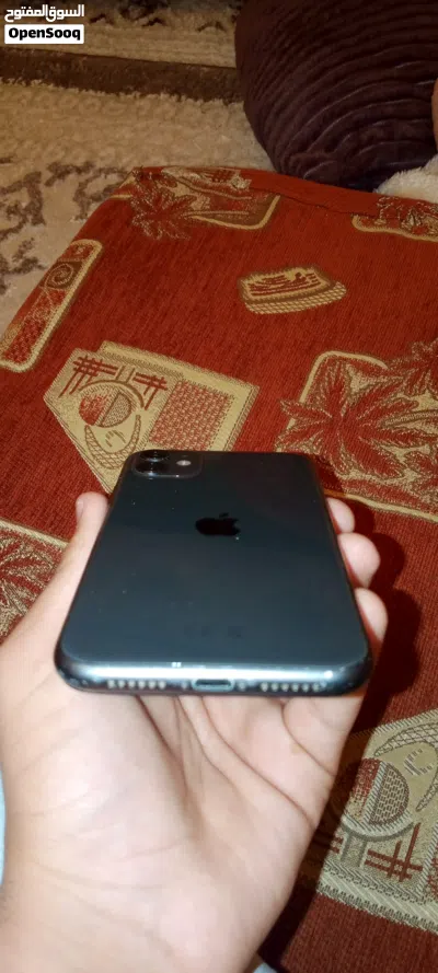 ايفون 11 العادي 3