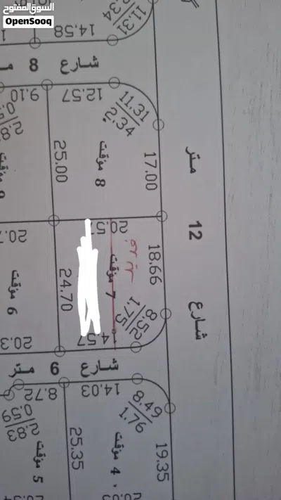 ارض البيضا مقابل الجمرك الجديد ع شارعين 250 متر قوشان مشترك 3