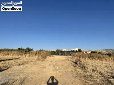 قطعة أرض مميزة بأجمل مناطق عين الباشا بسعر مميز 4