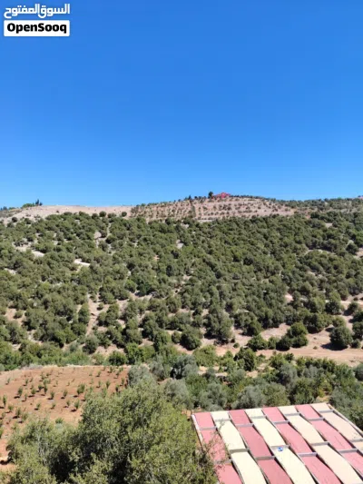 شاليه للبيع في جرش الحسينيات قريب من محميه الغزلان 2