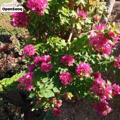 undefined 3