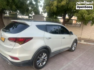 Hyundai Santa Fe Standard 2