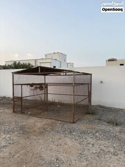 قفص كبير بجودة عالية 2