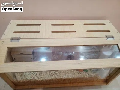 undefined 3