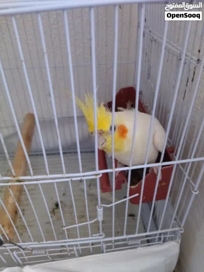 undefined 2