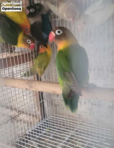 undefined 4