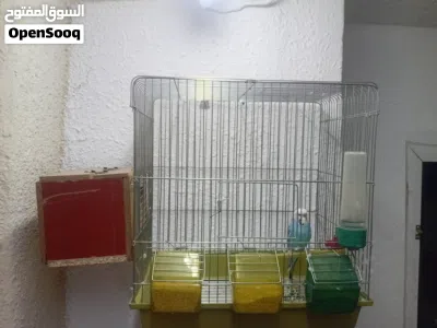 undefined 3