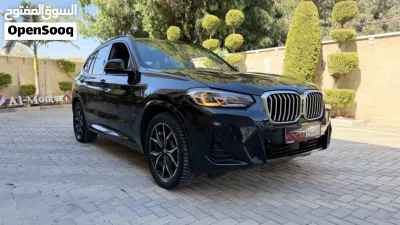 BMW X3 Series X3 xDrive30i 2