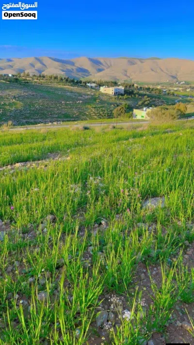 قطعة ارض للبيع بيرين صروت تبعد عن شفا بدران 20 دقيقه 4
