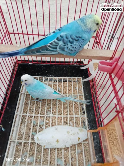undefined 2